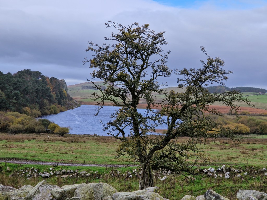 Hadrian’s Wall