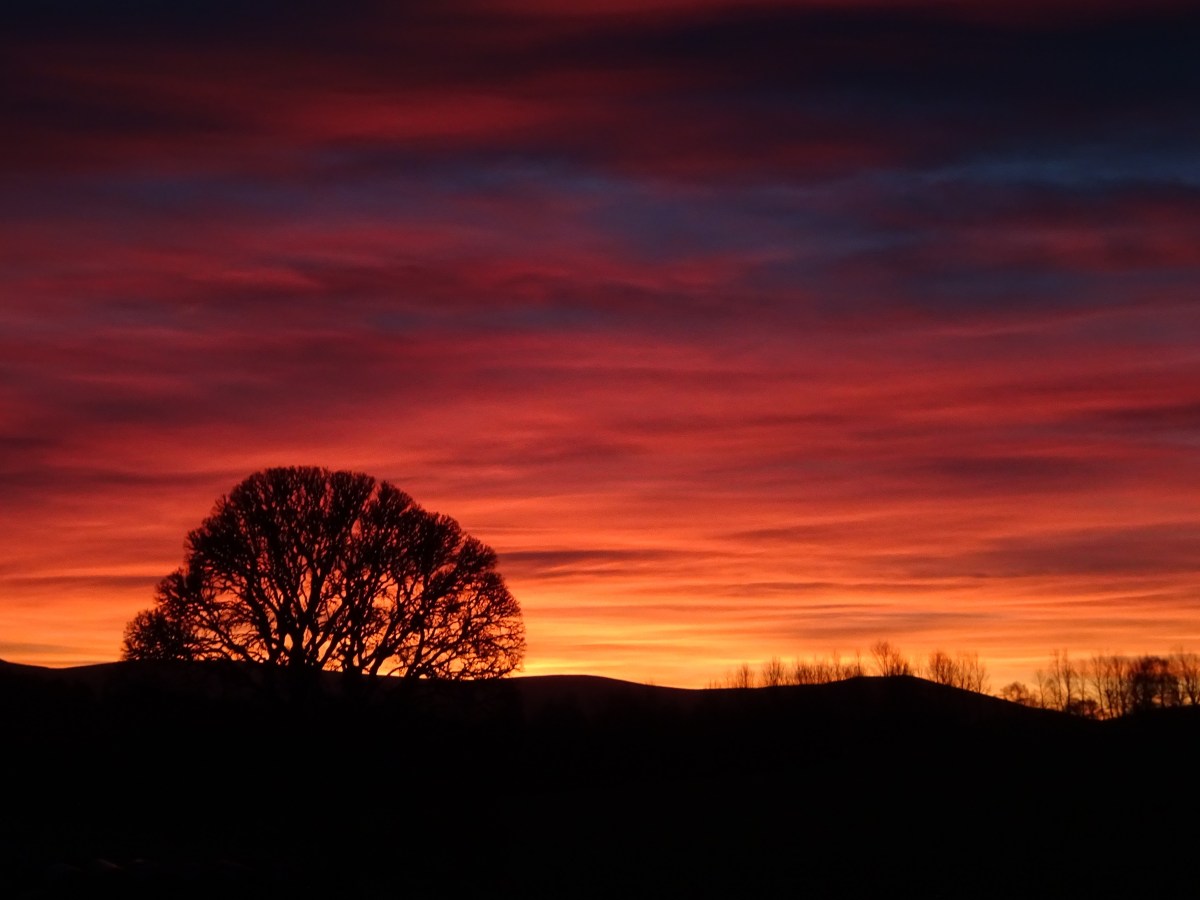 Winter Skills 17-19/1/2025